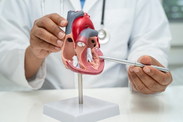 Learn about Heart Care