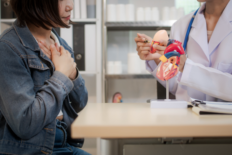 A doctor with model heart talking to patient