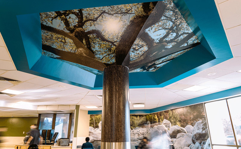 Interior shot of the North Fork Cafe.