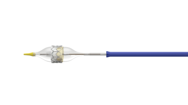 TAVR heart device