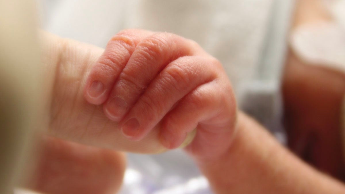 Baby hand holding finger