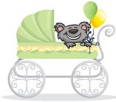 bear in baby stroller